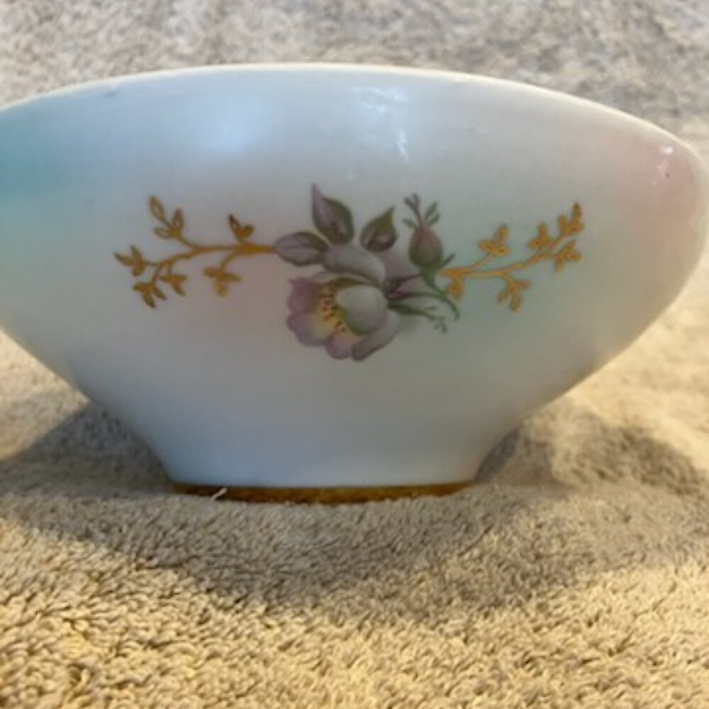 Schumann Arzberg Wild Rose bowl